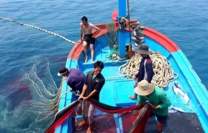 Ngư dân Việt cần làm gì để EU gỡ thẻ vàng thủy sản