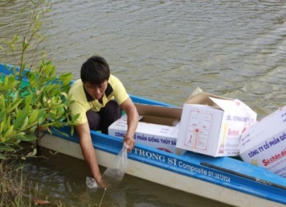 Nuôi tôm nước lợ Nên thả giống theo thời vụ