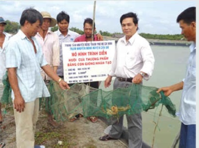 Mô hình nuôi cua biển thành công ở Cần Giờ