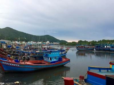 Bà Rịa - Vũng Tàu Khảo sát phát triển thủy sản