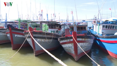 Tàu cá nằm bờ vì phân cấp theo hạn ngạch