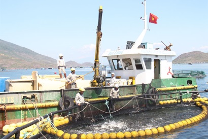 Khánh Hòa Tiềm năng phát triển nuôi biển
