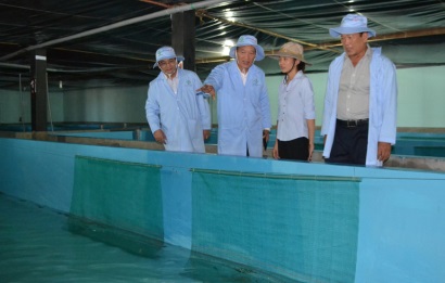 Dự án đầu tiên về nuôi thương phẩm tôm hùm trong bể trên bờ quy mô hàng hóa