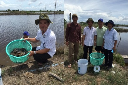 Kiên Giang Nghiên cứu thử nghiệm ương giống và nuôi ghẹ xanh thương phẩm