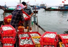 Quảng Ngãi Sản lượng thủy sản 7 tháng đạt gần 155.700 tấn