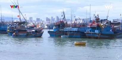 Chi phí chuyến biển tăng, nhiều tàu cá nằm bờ ở Nam Trung Bộ