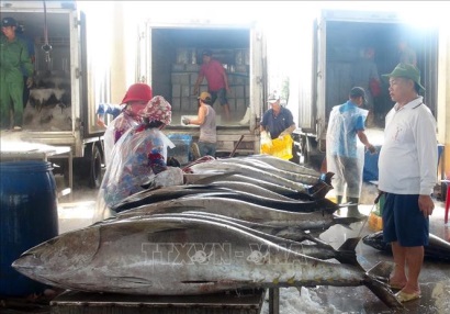 Phối hợp ngăn chặn khai thác thủy sản bất hợp pháp