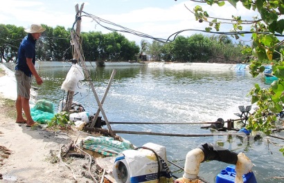 Phòng ngừa dịch bệnh tôm nuôi vụ mới Cẩn trọng để ứng phó với thời tiết bất thường