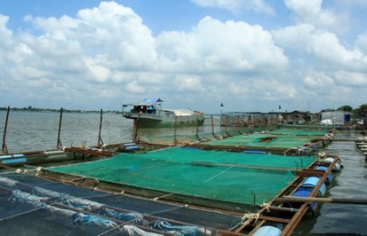 Hướng tới nuôi trồng thủy sản bền vững