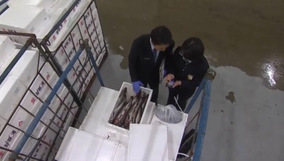 Hàn Quốc tăng cường giám sát thủy sản nhập khẩu