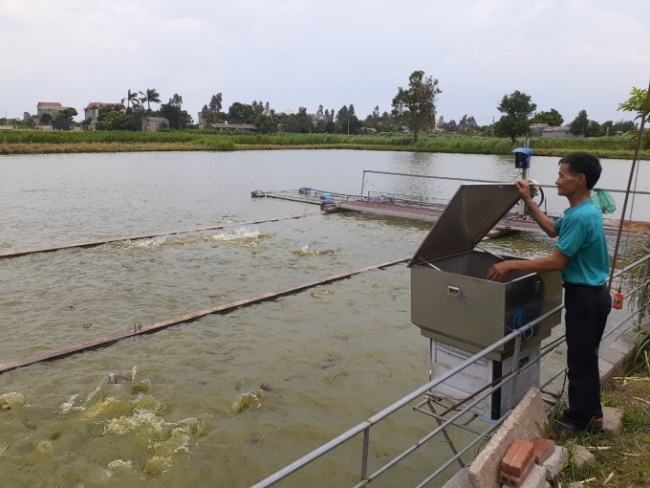 Bắc Ninh Phát triển ngành thủy sản theo hướng hiện đại, bền vững