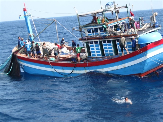 Bình Định Ban hành tiêu chí đặc thù về đóng mới, cải hoán, thuê, mua tàu cá