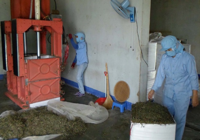 Ngành nông, lâm, thủy sản Muốn phát triển phải đầu tư công nghiệp chế biến