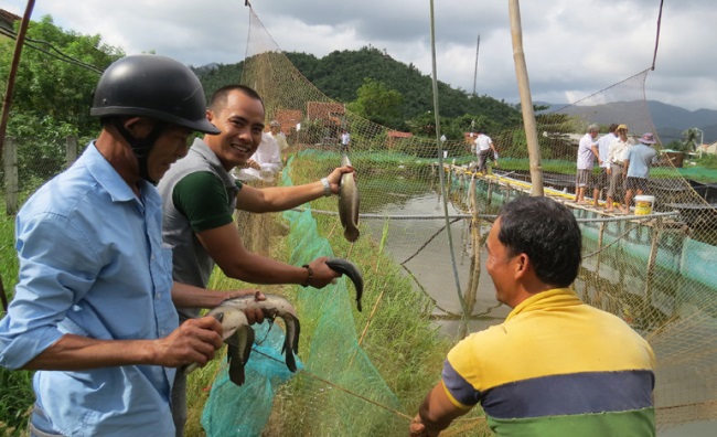 Nuôi trồng thủy hải sản Sử dụng thức ăn công nghiệp, giảm ô nhiễm môi trường