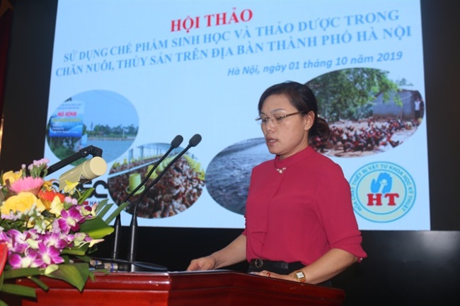 Chế phẩm sinh học và thảo dược là tương lai của chăn nuôi