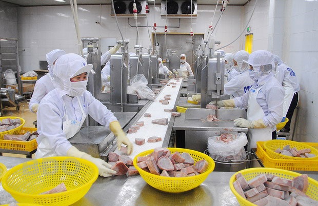 Tháo gỡ ‘thẻ vàng’ EC Chuyển biến tích cực