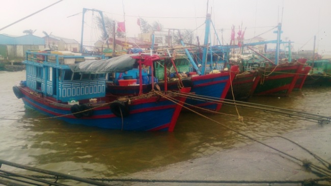 Chi cục Thủy sản Cấp 57 Giấy chứng nhận đăng ký tàu cá