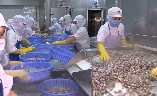 665 doanh nghiệp thủy sản Việt Nam được xuất khẩu vào Trung Quốc