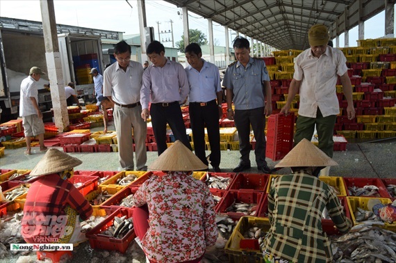 Chống khai thác IUU tại Kiên Giang có nhiều chuyển biến