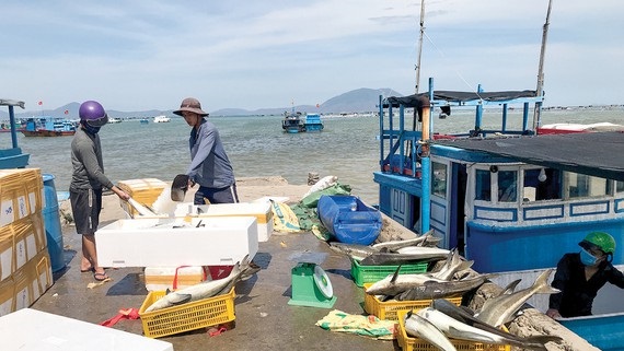 Nỗ lực gỡ thẻ vàng IUU