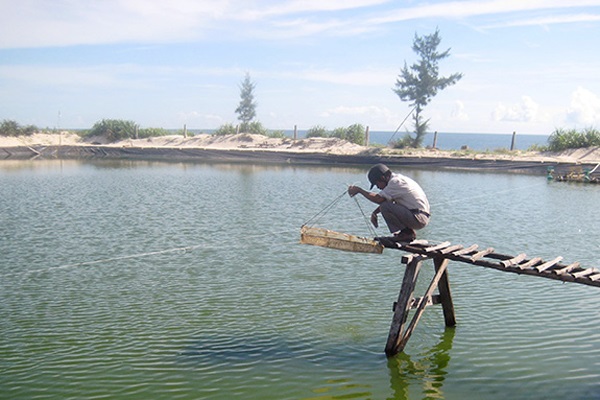 Quảng Ninh (Quảng Bình) Đẩy mạnh khai thác và nuôi trồng thủy sản