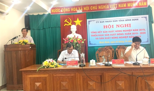 Nông nghiệp Bình Định, một năm thắng lớn