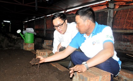 Ninh Bình Nuôi giun quế đem lại nguồn lợi kép trong nuôi tôm