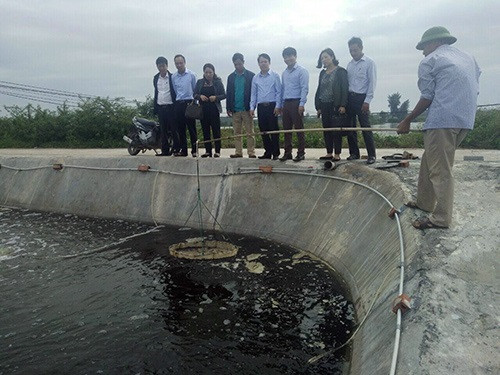 Thu lợi kép từ nuôi tôm an toàn