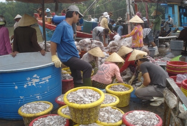 Tạo sự thông thoáng cho nhập khẩu nguyên liệu