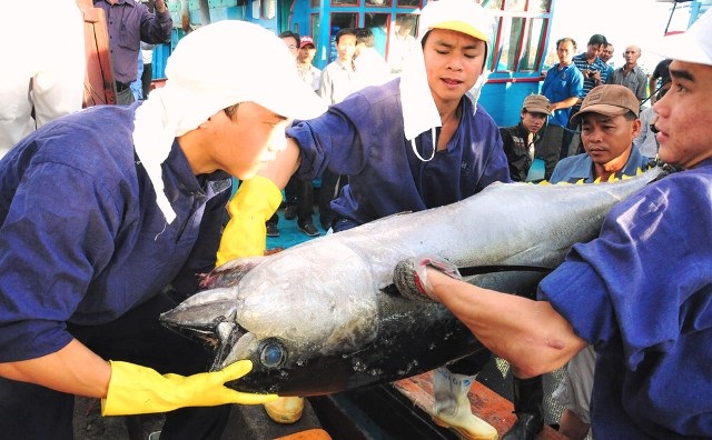 Bình Định Quảng bá thương hiệu, sản phẩm 53 mặt hàng được công nhận sản phẩm OCOP