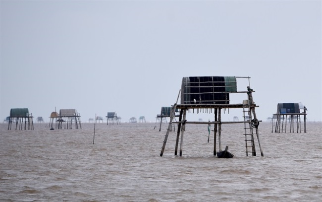 Hướng đến quy củ để đưa ngao đi Trung Quốc