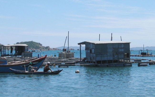 Bàn giải pháp phát triển nuôi biển bền vững