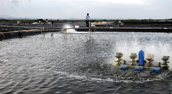 Nắm bắt thông tin từ Trung Quốc để xuất khẩu thủy sản