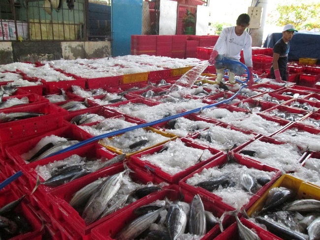 Ghi nhận những nỗ lực gỡ thẻ vàng cho thủy sản Việt Nam