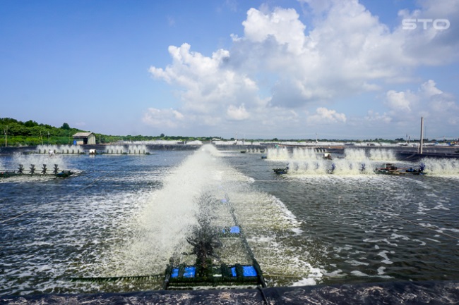 Muốn có thương hiệu phải có đủ tôm sạch