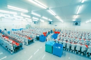 Mexico Tiêu thụ tôm tăng, giá tôm hấp dẫn các nhà cung cấp