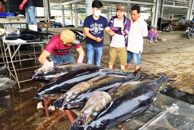 Các chuỗi liên kết thủy sản gặp khó