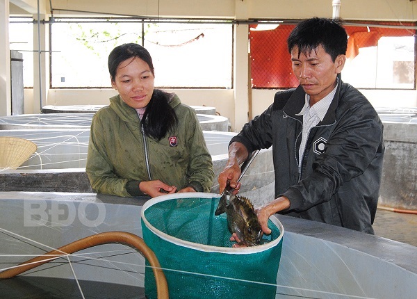 Bình Định Nâng cao chất lượng, đa dạng sản phẩm giống thủy sản