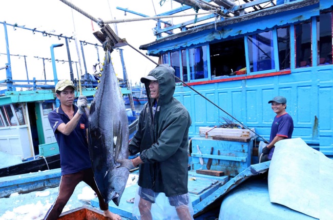 Việt Nam có nhiều nỗ lực trong quản lý khai thác thủy sản