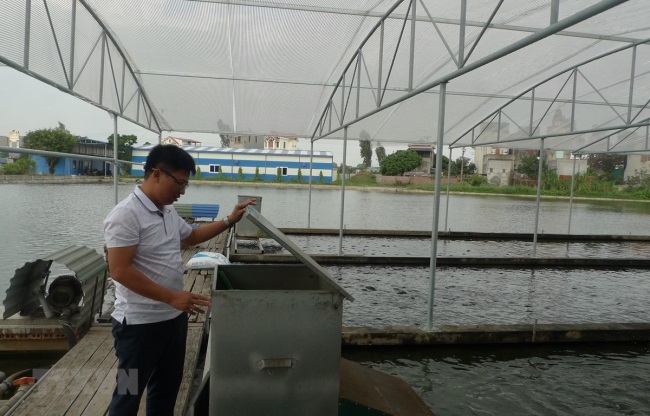 Khởi nghiệp thành công với mô hình tạo sông trong ao