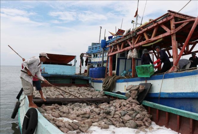 Việt Nam quyết tâm chống khai thác hải sản bất hợp pháp