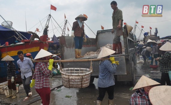 Thái Thụy Tổng giá trị nuôi trồng, khai thác thủy sản ước đạt hơn 1.780 tỷ đồng