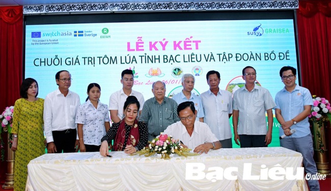 Bạc Liêu Đẩy mạnh liên kết phát triển mô hình tôm sạch, lúa an toàn