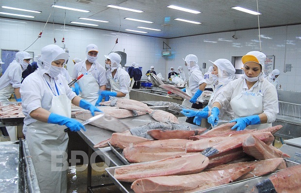 Bình Định Ngành thủy sản trên đà phát triển