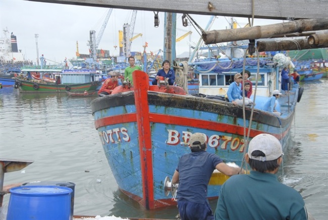 Nhiều tàu cá Bình Định trúng lộc biển đầu năm