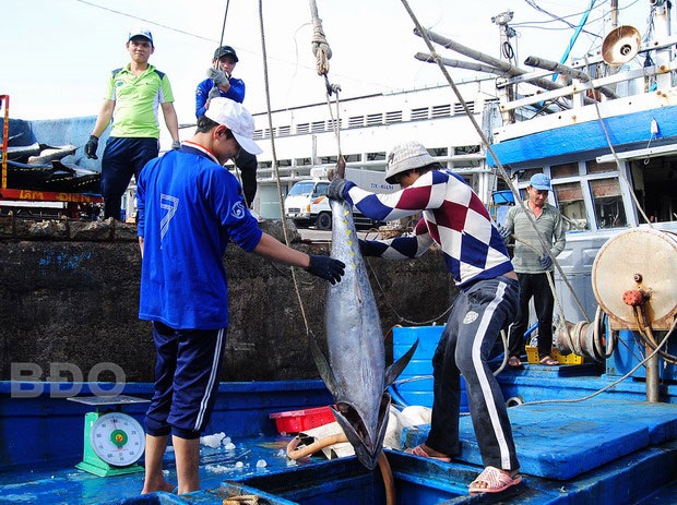 Sản lượng khai thác thủy sản dịp Tết ước đạt 2.500 tấn