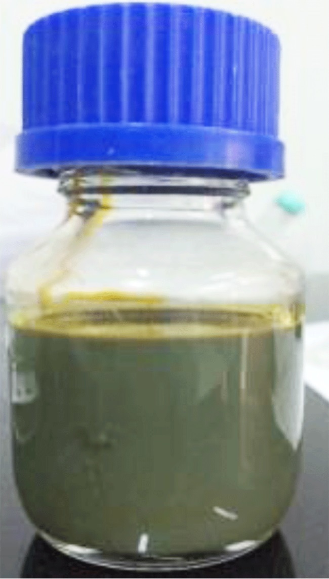 Sử dụng dịch nano bạc khử khuẩn, người nuôi tôm thu lợi nhuận gấp ba