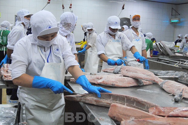 Doanh nghiệp thủy sản với cơ hội từ EVFTA Chủ động đổi mới, hợp tác phát triển