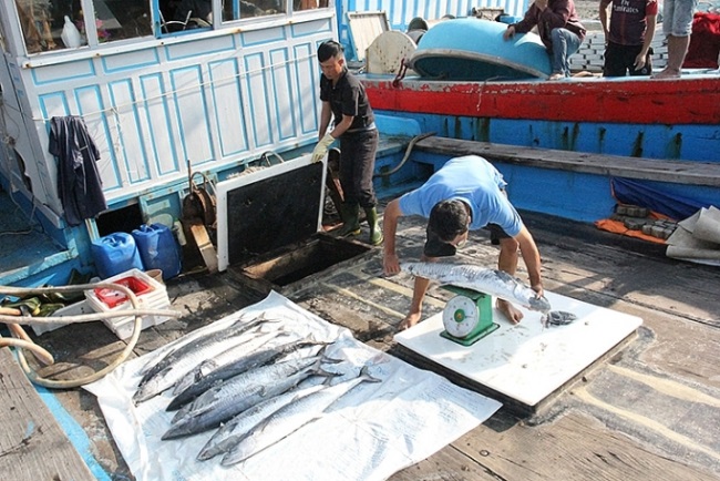 Nỗ lực gỡ thẻ vàng IUU 4 vấn đề phải khắc phục sớm