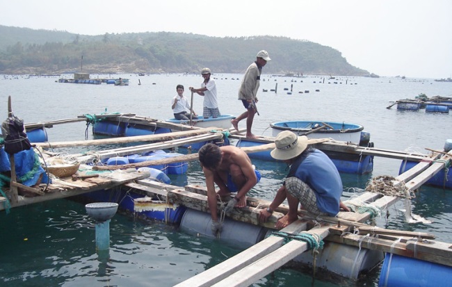 Xây dựng đề án phát triển nuôi trồng thủy sản bền vững